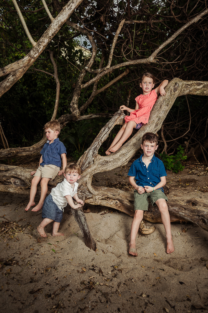 (c) bidrop.com-2023-12-10-162919_2048px