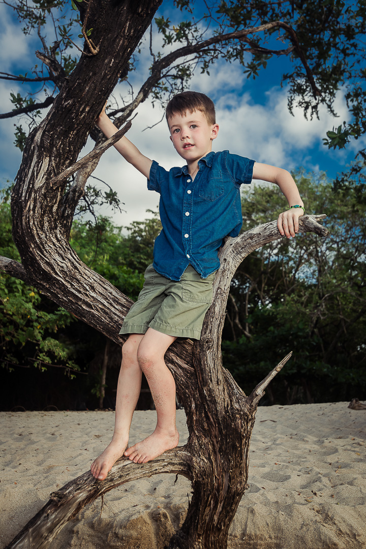 (c) bidrop.com-2023-12-10-164237_2048px