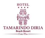 Hotel Tamarindo Diria - Satisfied Bidrop customer - professional photographer in Tamarindo